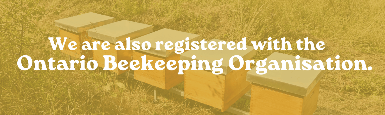 Travel To-do List Docs Banner in Blue Green Simple Style (1)