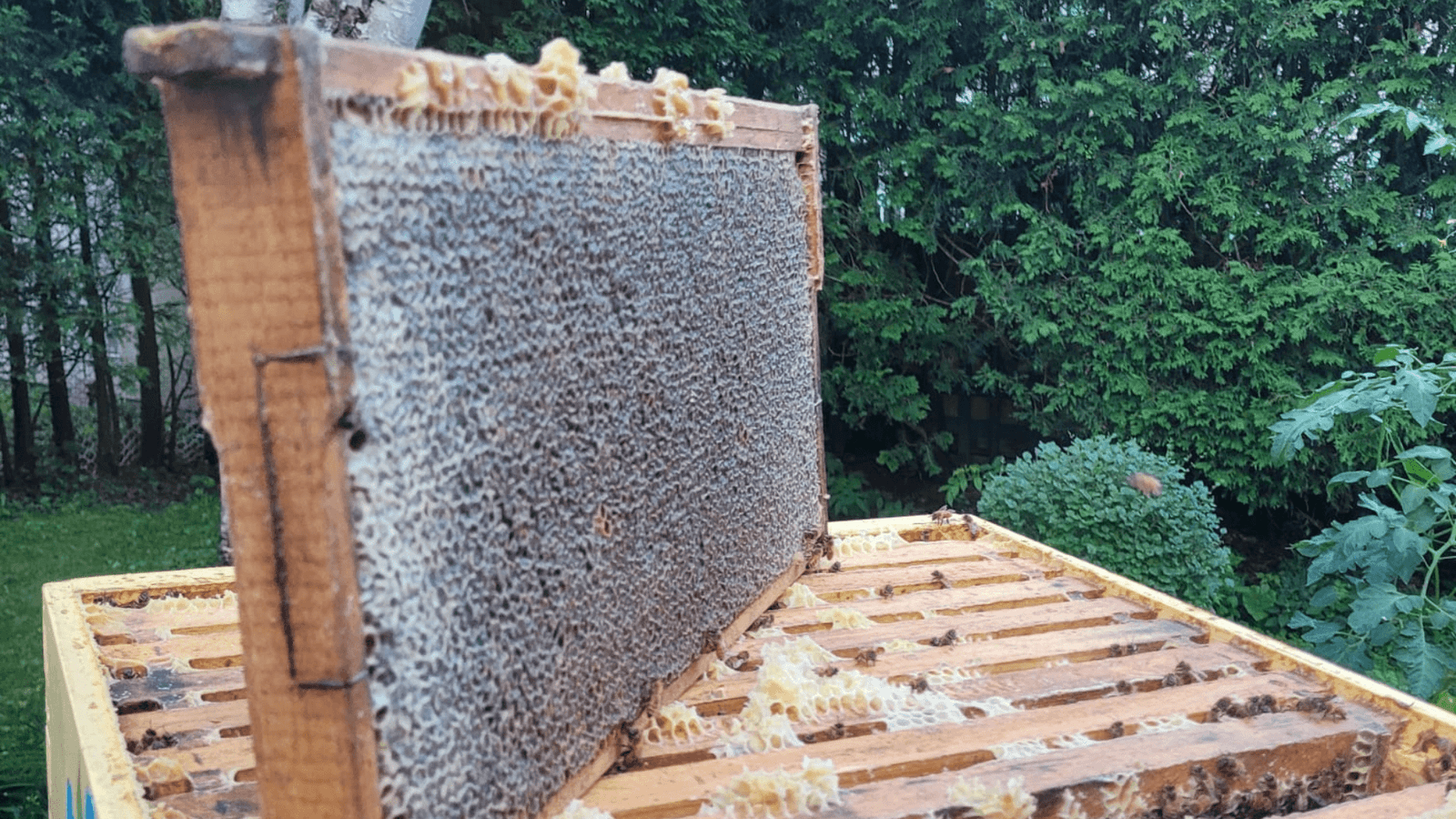 Untitled design-49-2