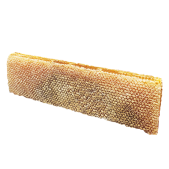 Honey_comb_frame